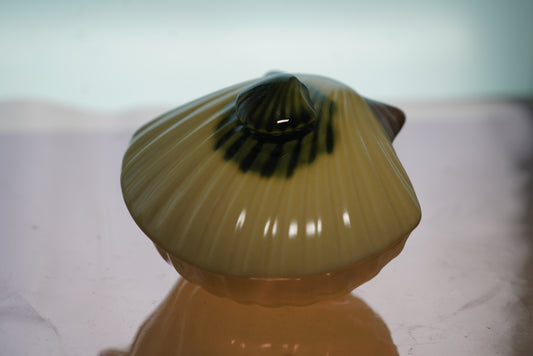 Shell bowl with lid