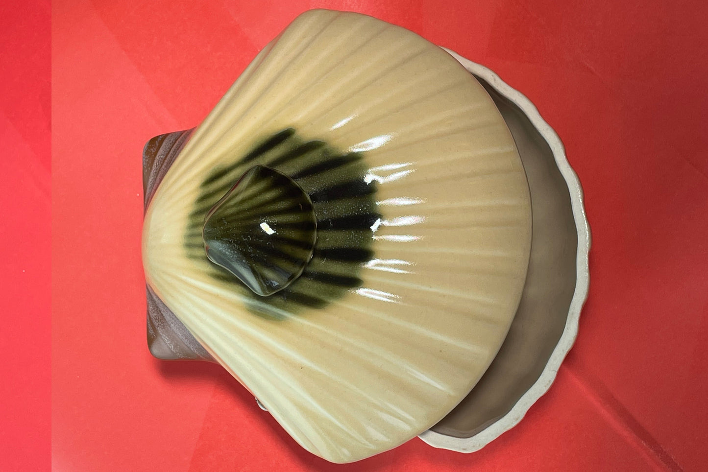 Shell bowl with lid